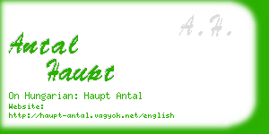 antal haupt business card